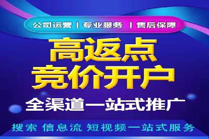成功案例：SEM推广助力企业拓展海外市场